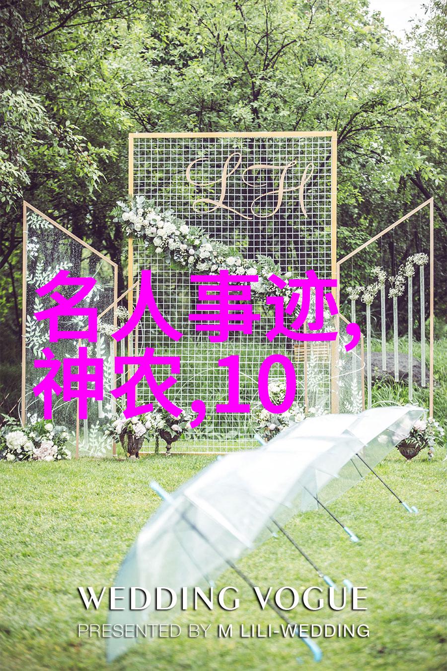 清朝求生记御医之谜与皇家子女的六成夭亡