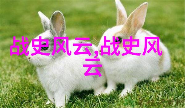 古代神话中的月亮女王她曾以美丽的笑容诱惑英雄却在孤独中沉默不语