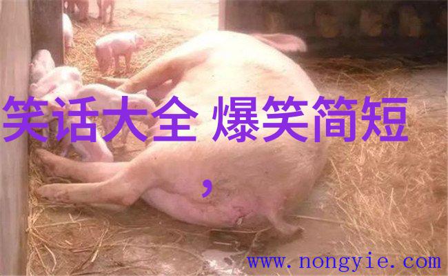 夜秦之中葛瑞麟究竟在用少林拳太极拳形意拳八卦掌来守护什么