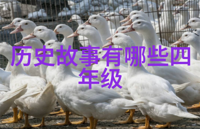 网络世界中的言语共鸣网站大家懂我的意思吧