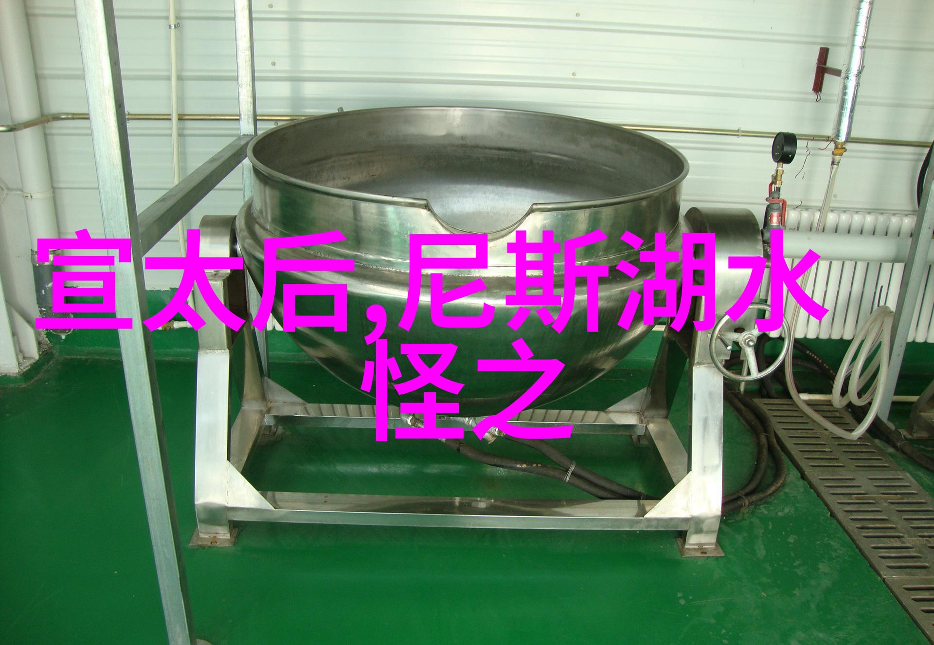 卖油郎的化身许桂枝黄梅戏旦行演员