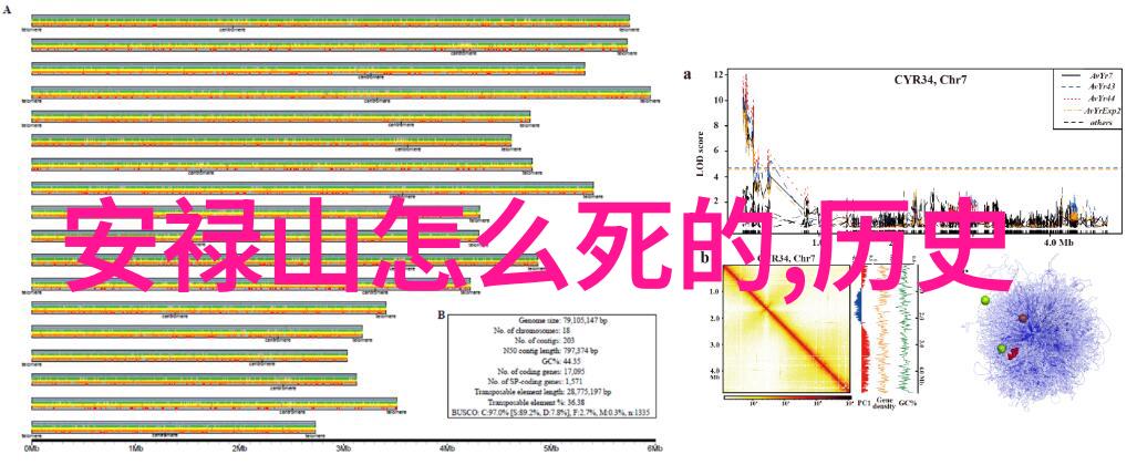 趣闻轶事探秘揭秘历史上的三个令人惊叹的奇迹