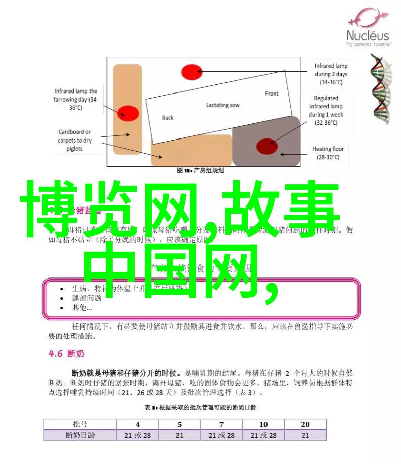 穿越时空的传说十个民间故事中的古今奇缘
