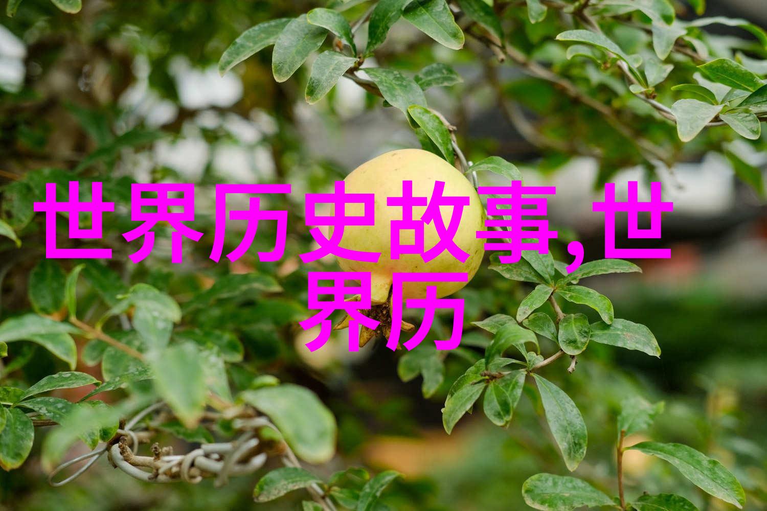 金帐汗国察合台汗国等蒙古诸部在元朝时期的地位与作用是什么它们之间存在怎样的关系呢