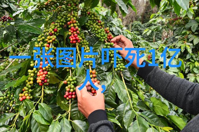 东北民间故事奇闻怪事探秘东北古老传说中的神秘事件