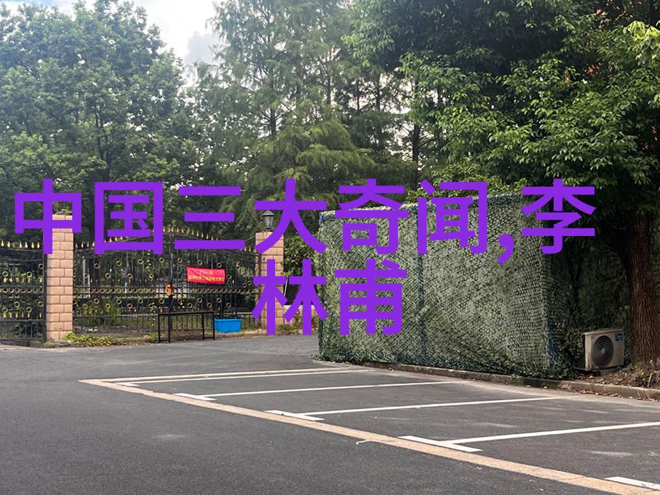 听中国历史野史趣闻清朝民间奇案录