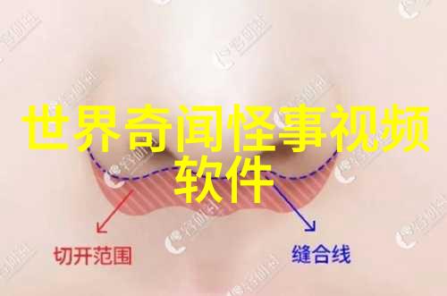 从伊卡洛到达多兰诺飞翔在空中的梦想