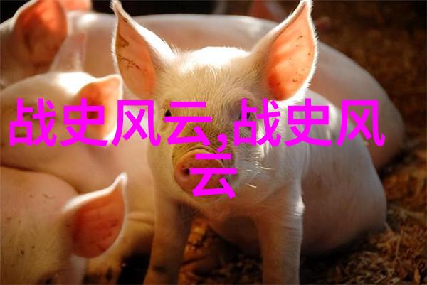 写历史人物的故事四年级-探索古今英雄传从课本到创作