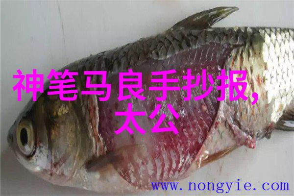 哪个朝代灭亡最惨我觉得明朝完蛋得挺惨的