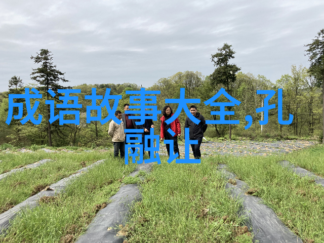 追寻古文的轨迹从左往右的字写五个理由揭秘