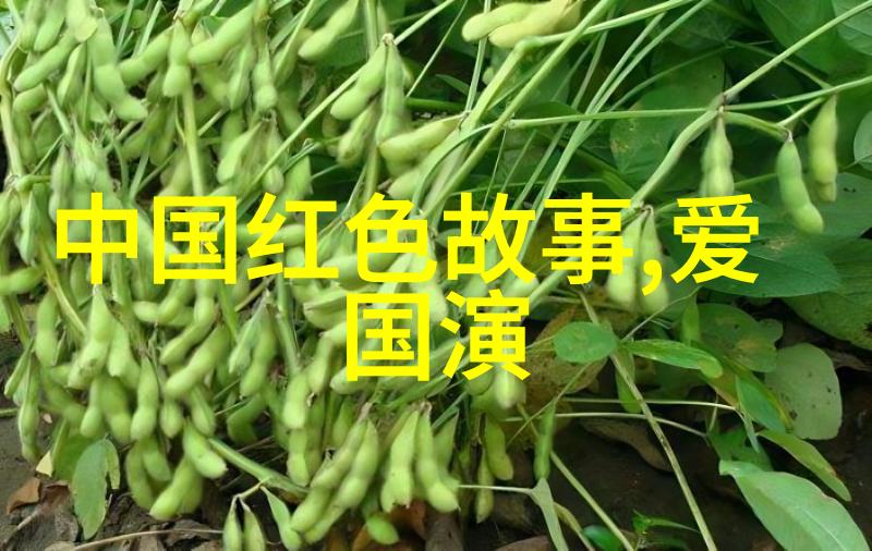 孙权周瑜诸葛亮东吴三大名将的智谋战役