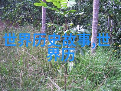少年英雄谱十大抗日小战士的英勇事迹