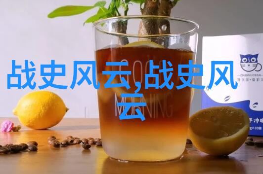 中华英杰录梁启超的文化使者之路