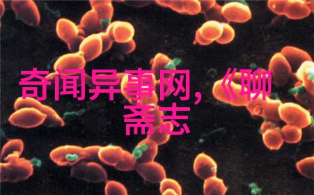 中国神话故事传说洪水滔天苗族古老传说中的大洪水之灾
