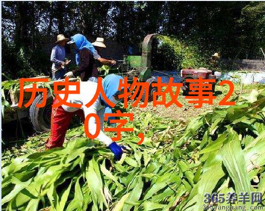经典神话故事我亲眼见证的天降英明神话中的英雄与奇迹