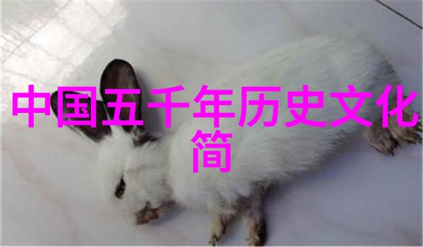 后金的宫廷内政多尔衮与孝庄的纠葛关系探究