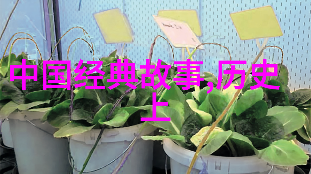 南阳王朱灿崔仲文的传奇故事
