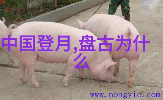 女娲神话深度解读揭开她的面具