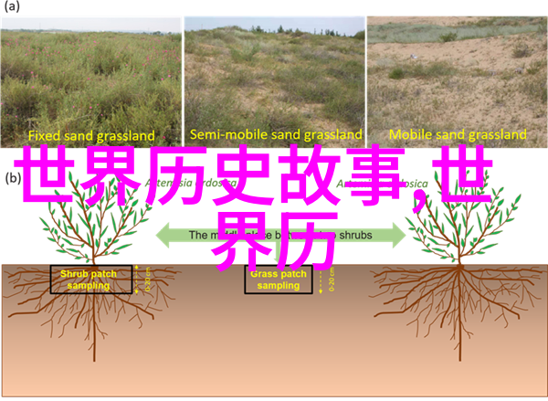 高树玛利亚qvod-在影视海洋中寻找的那片净土高树玛利亚qvod的独特魅力