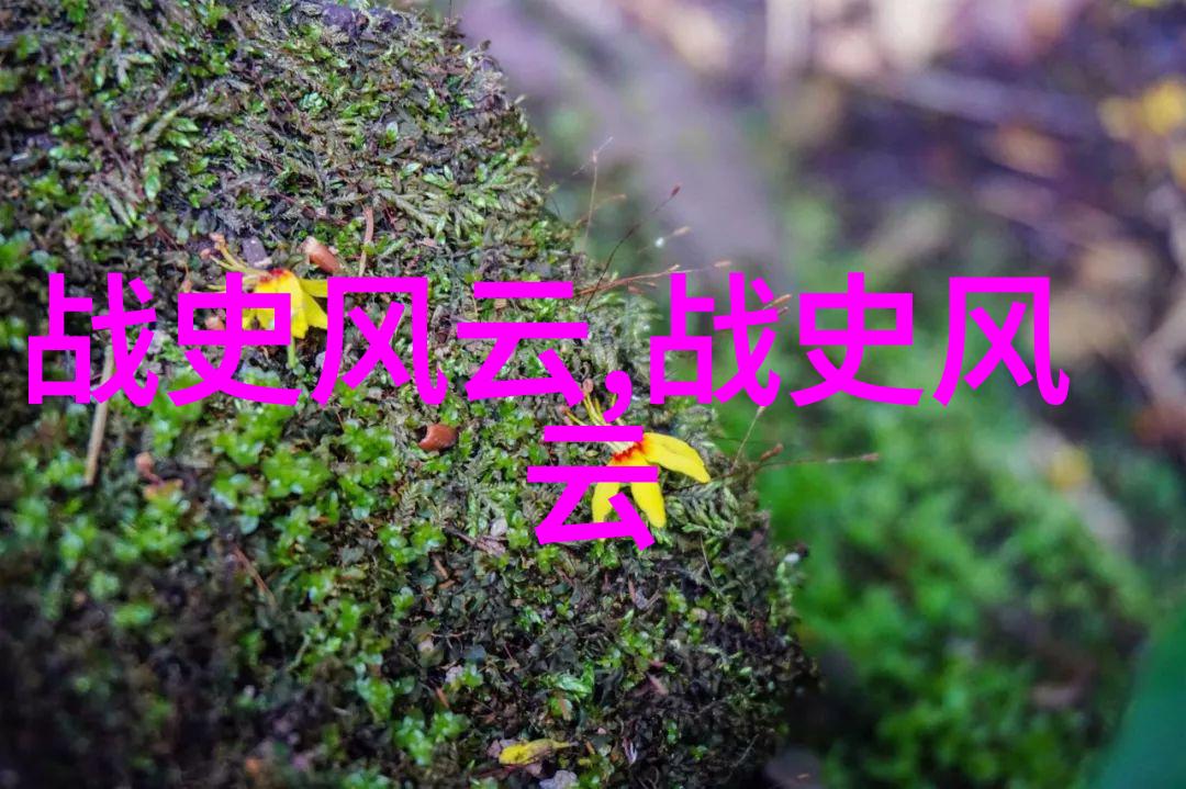 天女遗珠云端的泪