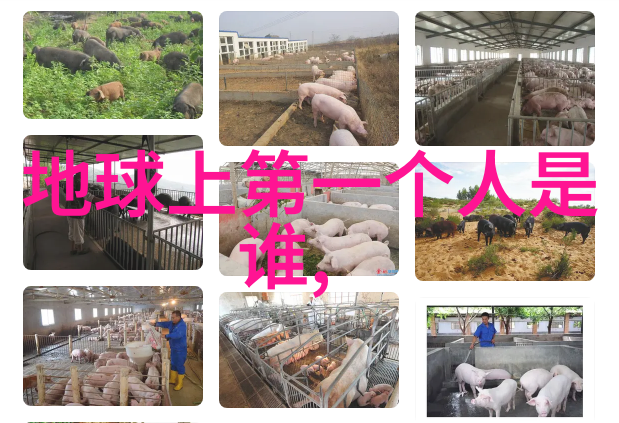 日本国名原来是唐朝刺史所赐证实日本文化起源于中国