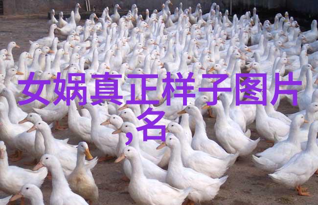 明朝那些事儿揭秘古代风云人物与历史真相