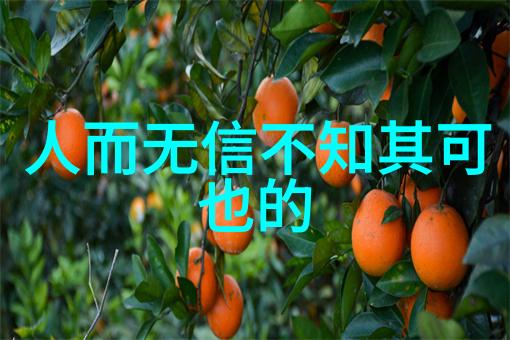 摸鱼儿雁丘词中的方国珍仿佛天地间最美的风景在1319年初露头角至1374年静谧离去