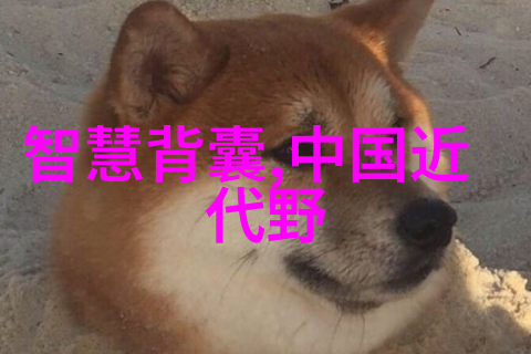 亨利福特汽车工业巨人和他的创新理念
