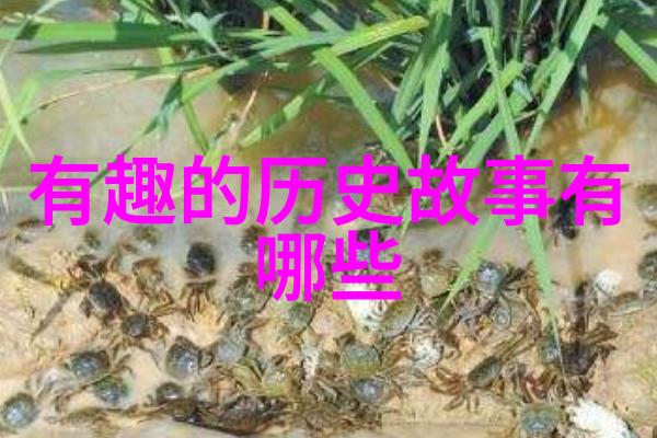 端午节的来历-龙舟竞渡与五行诗词的传统
