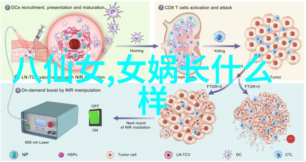 古代英杰龙争虎斗的智者之战
