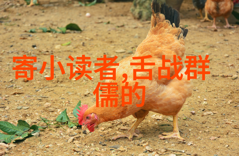 日本芝士日本风味的芝士