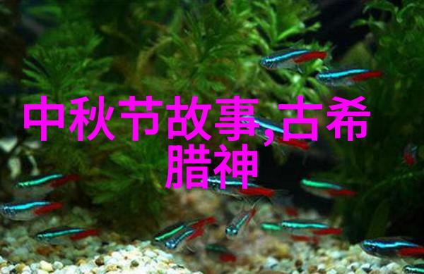 海底沉船下的奇迹生存者们