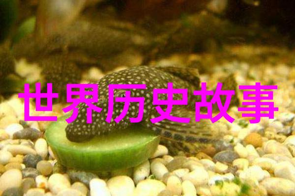民间恐怖故事精选集古老传说中的惊悚篇章