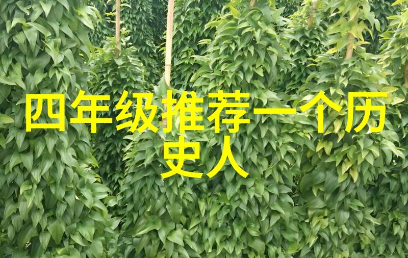 绽放的美丽揭秘美人效应背后的心理与社会机制