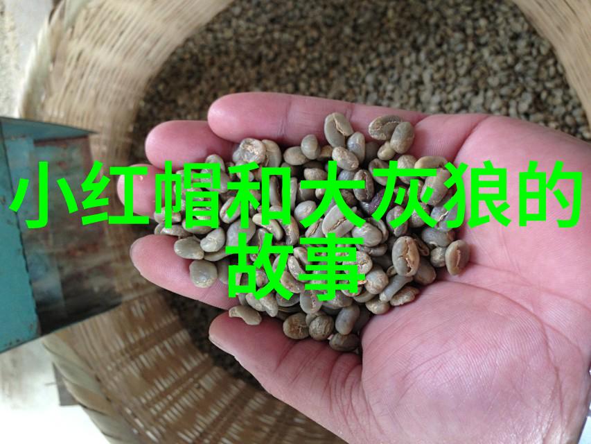 探索传统文化中的隐喻与象征一则民间故事的解读