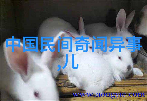 中国的民间故事-穿越千年的时空中国古代民间故事的魅力探索