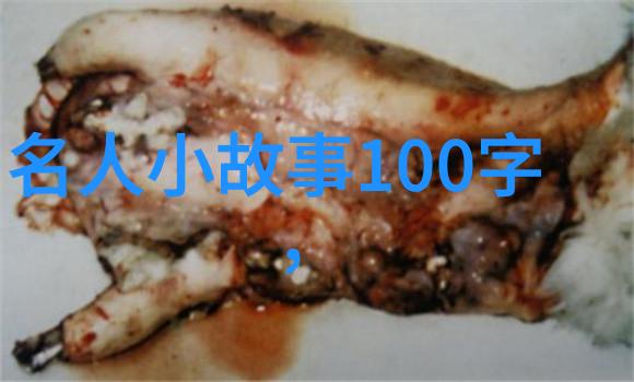 小白兔与大灰狼的故事