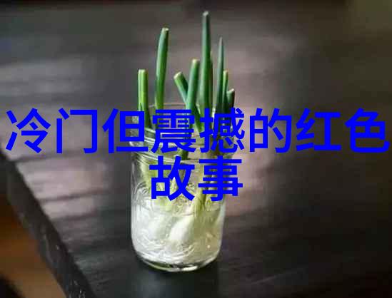 光与影的交错野史记载中的反差