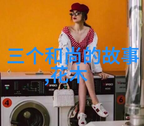 黑夜中的清泉乌鸦的渴望与智慧