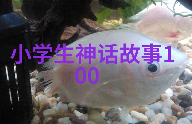 抗日战争-琼崖纵队的最后一击