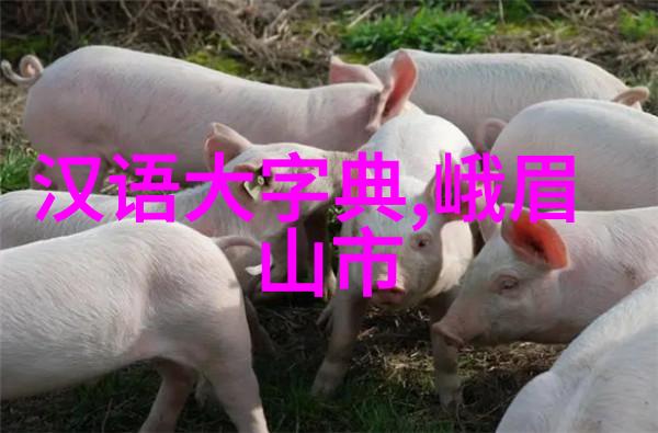 秦始皇一生糟塌了多少女人赵孝成王的悲剧前245年