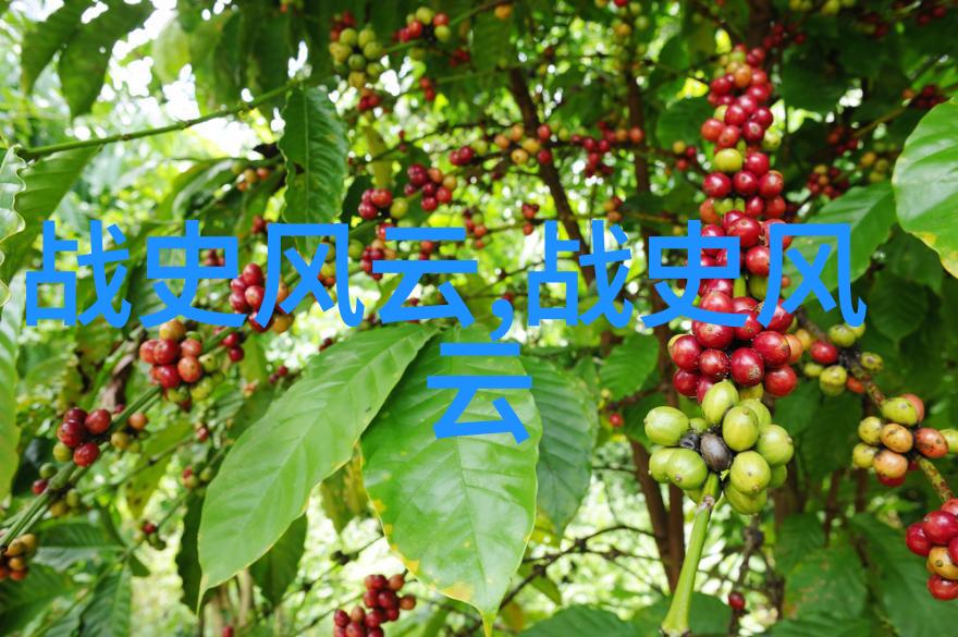 肉浦团追逐梦想的海滨旋律