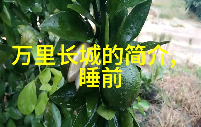 江湖传说刘邦的隐秘一生