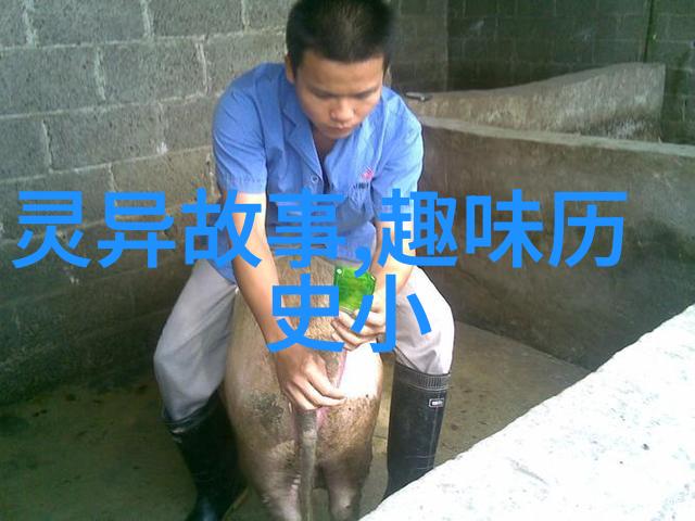 陈友定三皇五帝历史记载中的人物