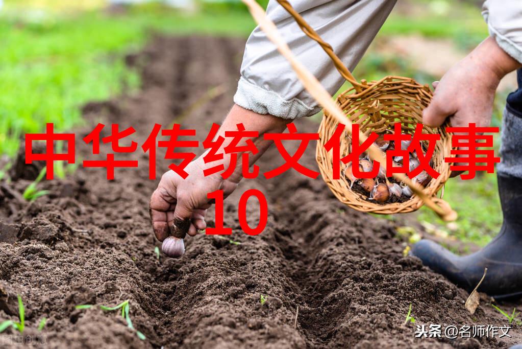 星际第一技师总结宇宙边缘的工匠精神与技术革新