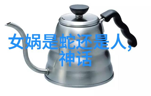 王晔在中国学术会议上发言