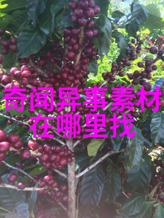 书法四大家丰坊之美丰富文化书写辉煌