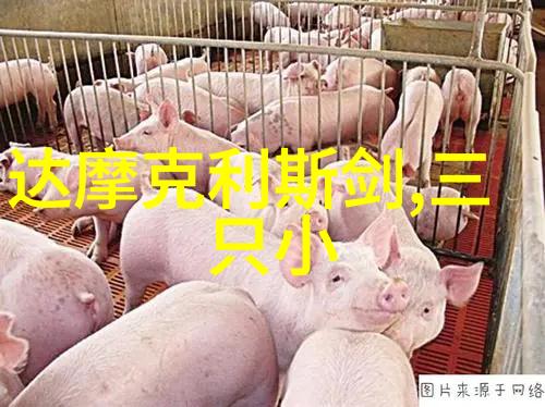 最美情侣免费播放视频下载-爱的旋律追捕那些触动心弦的最美情侣时刻