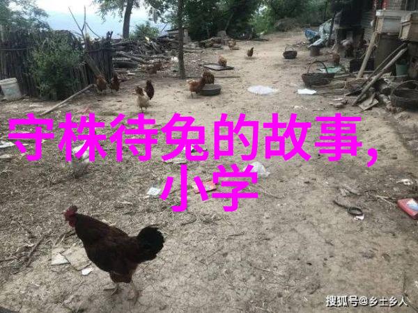 科技与生活-探秘天津区号数字背后的故事