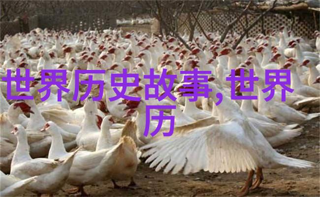 世界史中的一个小故事古埃及法老的神秘陵墓古埃及建筑奇迹法老之死谜团